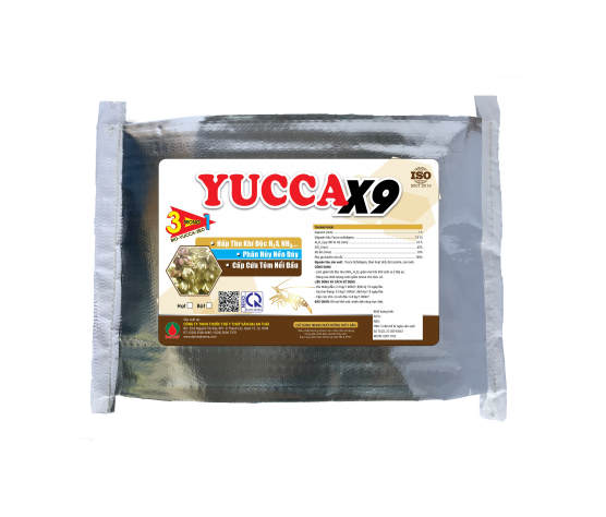 YUCCA X9 